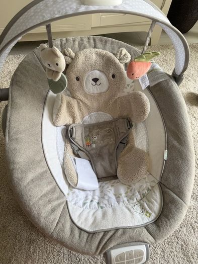 Baby Bouncer