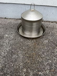 Stainless Steel Hen Drinker