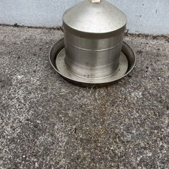 Stainless Steel Hen Drinker