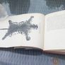 Antique Practical Collecting and Preserving Trophies, Ward R, book, D18 post 7e Image 5