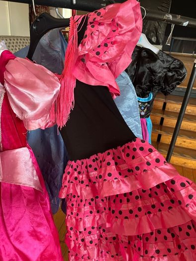 Girls dress up costume
