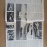 Thoroughbred & Classic Cars Image 6