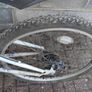 bike needs TLC. Image 5