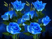 Solar Lights Outdoor Garden, Garden Lights Solar Powered Waterproof with 8 Bigger Blue Rose Flower, 2 Pack Outside Solar Garden Lighting Decorative for Christmas Gift Pathway Yard Wedding Party Fence