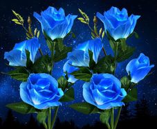 Solar Lights Outdoor Garden, Garden Lights Solar Powered Waterproof with 8 Bigger Blue Rose Flower, 2 Pack Outside Solar Garden Lighting Decorative for Christmas Gift Pathway Yard Wedding Party Fence