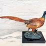 Pheasant (32 cm) - Cold Painted Bronze, Marble, Signed Image 8