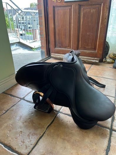 Horse saddle cavaletti collection, girt, stirrups