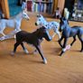 Schleich animals - Horses Image 7