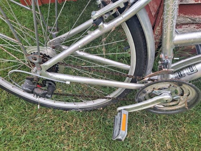 ladies bike