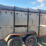 Cattle trailer Image 2