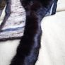 Mink Piece, Dk. Brown 72" Length (Genuine Fur) Image 5