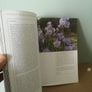 A tale of Two Gardens by Norah Burgess and Danae Kindness Image 7