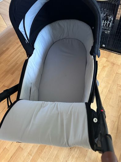 2 in 1 buggy