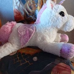 teddy