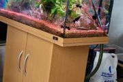 115litre Juwel Aquarium