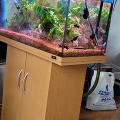 115litre Juwel Aquarium