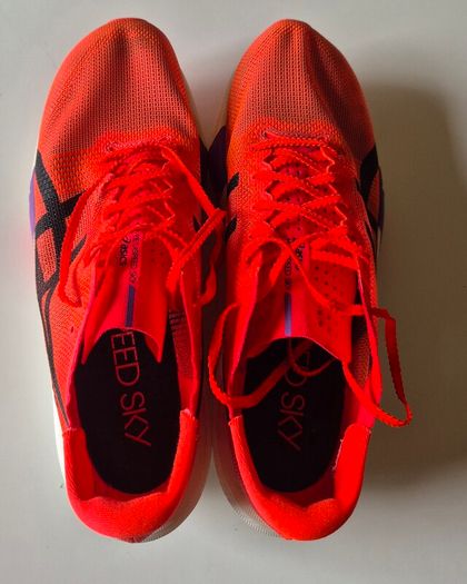 Asics Metaspeed Sky Tokyo (9 UK, EU 44)