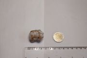Milky quartz rock