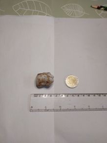 Milky quartz rock