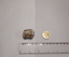 Milky quartz rock