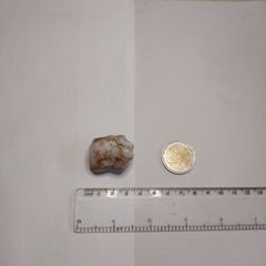 Milky quartz rock