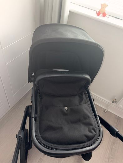 Black bugaboo renew