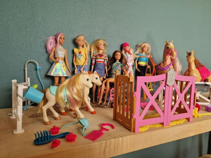 Barbies and Equistriene ponies & accessories
