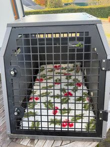 Trans k9 dog travel crate
