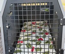 Trans k9 dog travel crate