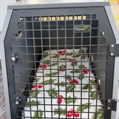 Trans k9 dog travel crate