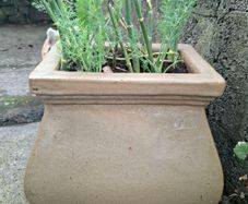 flower pot