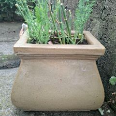 flower pot