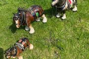 3 horse set