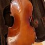 Stentor Student Violin 1/2 Image 4