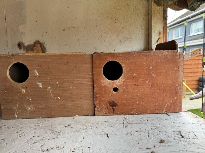 birds nest box