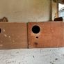 birds nest box Image 4