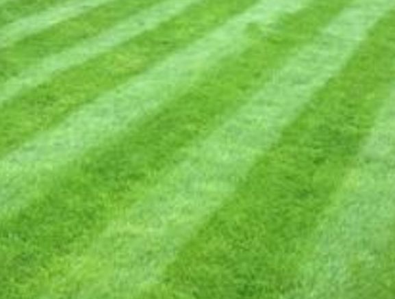Garden services