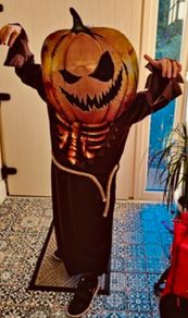 Pumpkin Halloween Costume