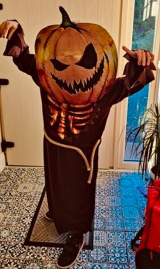 Pumpkin Halloween Costume