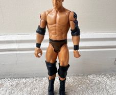 WWE Wade Barrett Mattel Elite Series 18 Wrestling Action Figure Nexus Bad News Used Please see photos