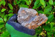 Elderly Stones
