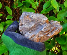 Elderly Stones