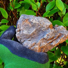 Elderly Stones