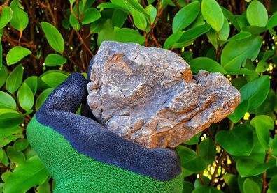 Elderly Stones