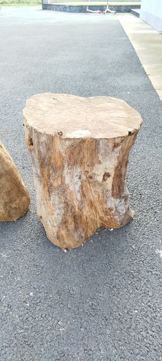 Tree Stumps