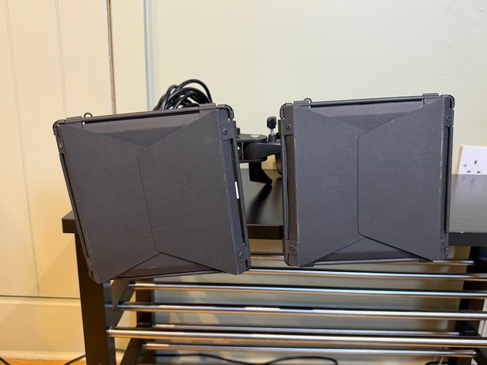 Pair of Godox SK300II Studio Flash Heads