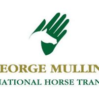 George Mullins International Horse Transport Jobs in Ireland