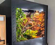 Viperia enclosure