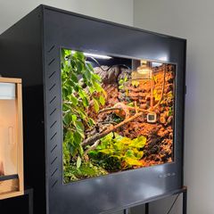 Viperia enclosure