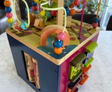 Zany zoo activity cube